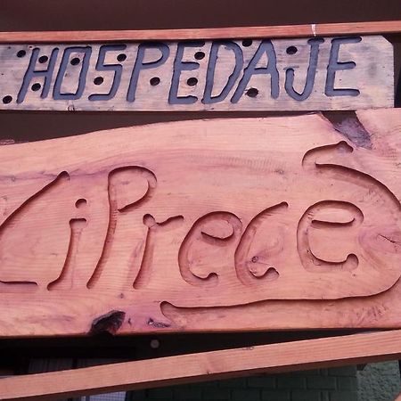 Hospedaje Los Cipreses Coyhaique Bagian luar foto