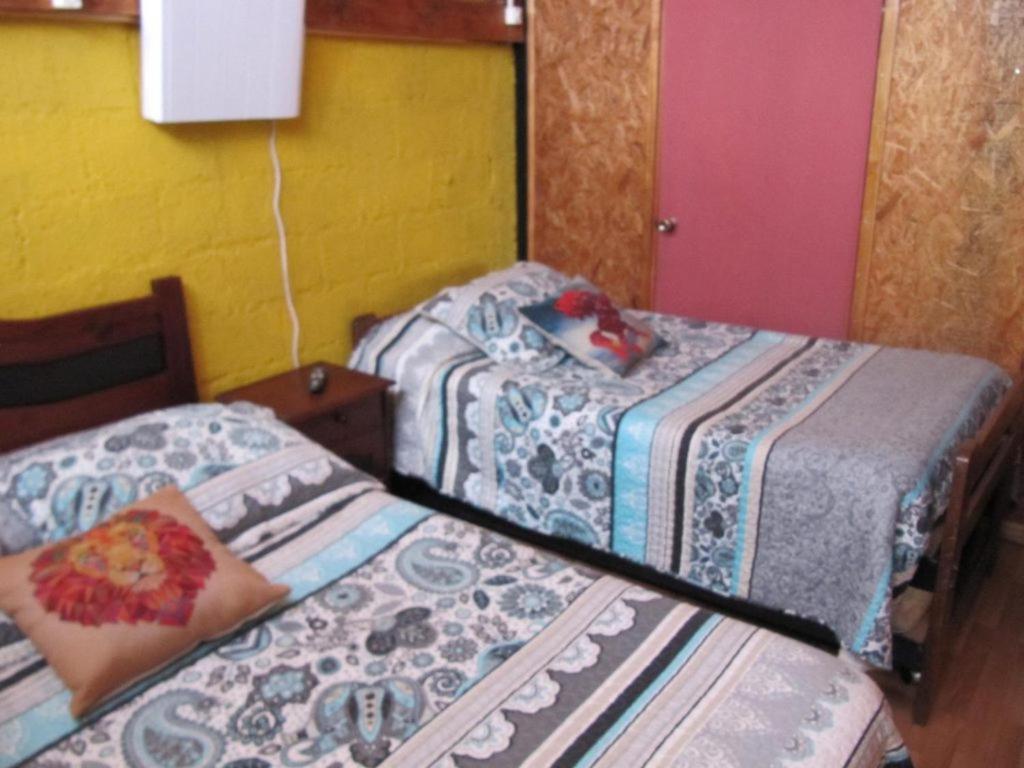 Hospedaje Los Cipreses Coyhaique Bagian luar foto